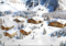 Weer Portes du soleil